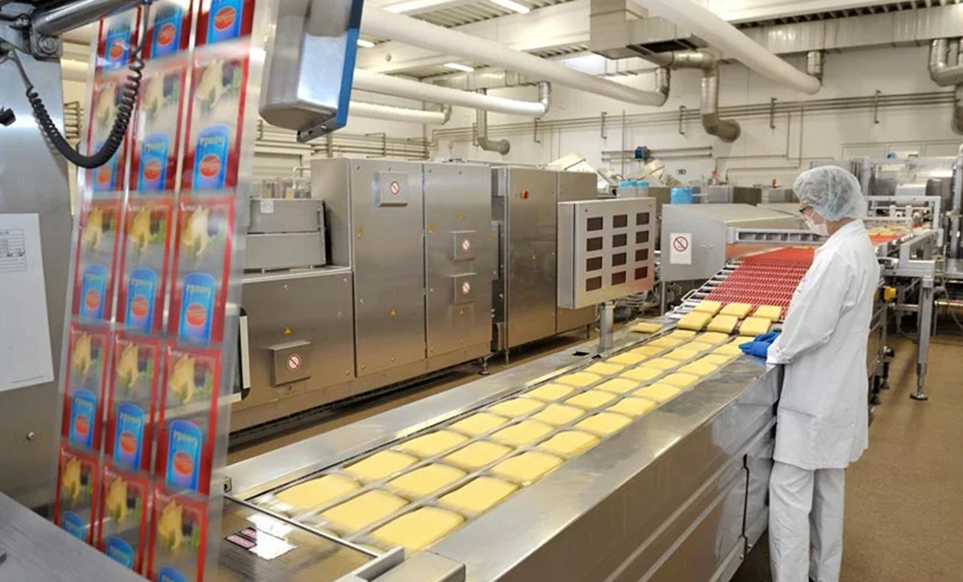 Embalaje de alimentos de la bomba de vacío