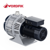 Wordfik PLWX800 12L/S 14.4L/S 1PA Bomba de vacío de desplazamiento para la fabricación de semiconductores