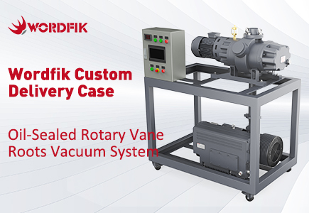 oil-sealed rotary vane roots vacuum system.jpg