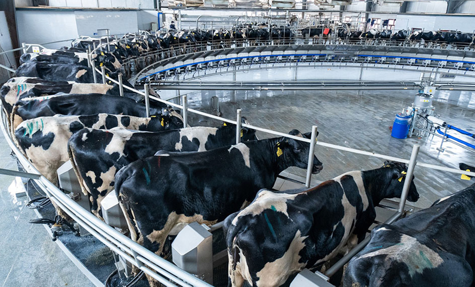 bomba de vacío para ordeño al vacío