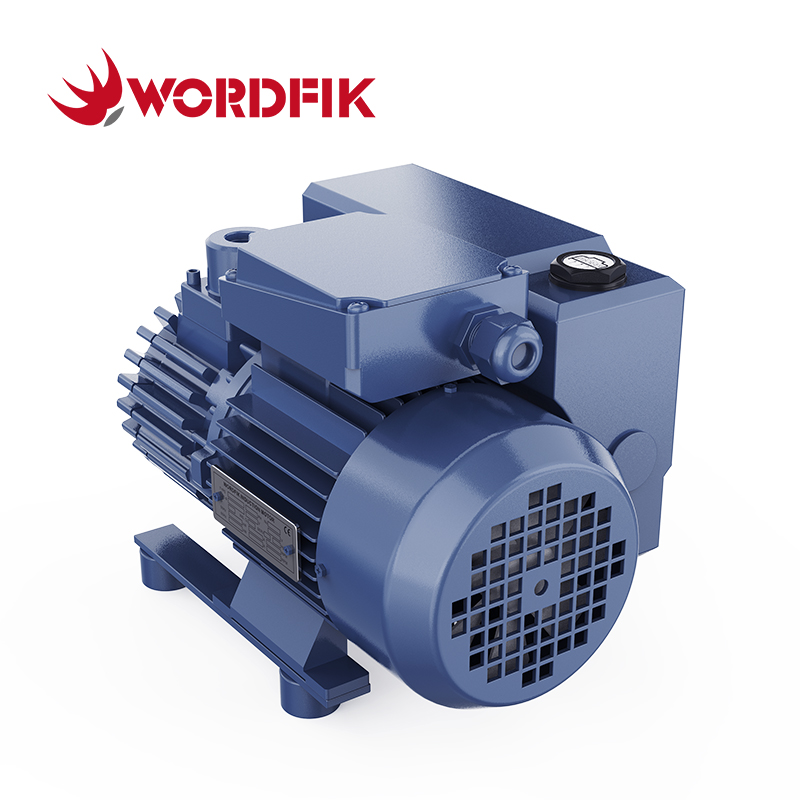 WordFik PVX16 Bomba de vacío de paleta rotativa sellada por aceite pequeño 16-19m³/h