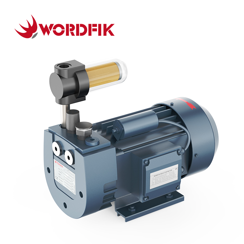 WordFik VD8 8-9.6m³/H 150m Bomba de vacío de paleta rotativa seca